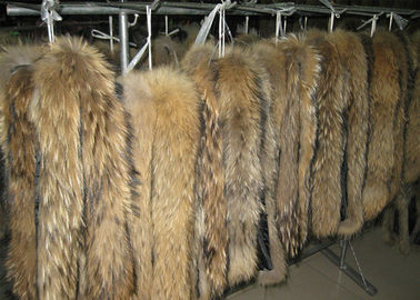 Chine Le collier de fourrure de raton laveur a bronzé la fourrure chinoise de raton laveur de vrais de fourrure de chien de raton laveur cheveux de peau longs fournisseur