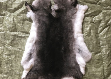 Chine Le réchauffeur gris-clair de cou de fourrure de lapin de Rex, vrai lapin de Rex écorche la peau pour la couverture de plat fournisseur
