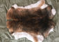 la fourrure de lapin de 30*40cm Rex pèle le doux chaud, fourrure de Rex de chinchilla avec couleur naturelle/teinte fournisseur