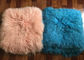 18x 18&quot; couleur à simple face de bleu de ciel de couverture de coussin de fourrure d'agneau d'oreiller tibétain de fourrure fournisseur