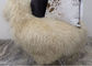 Long salon mongol gris de couverture de peau de mouton de cheveux bouclés avec la taille des pieds 2*4 fournisseur