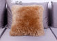 Forme décorative de place de coussin de laine d'agneau de sofa à la maison avec la longue laine lisse fournisseur