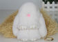 Étiquette de coup de Keychain de lapin de fourrure de lapin d'OEM 13 -20 cm pour le vêtement/décoration fournisseur