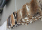 Couleur naturelle douce 25*35cm de Brown de peau de lapin de Rex d'accessoires de doublure de manteau fournisseur