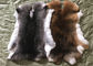 La fourrure bronzée de peau de lapin de Rex d'herbe a adapté la taille aux besoins du client pour des accessoires/habillement fournisseur
