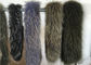 Collier authentique pelucheux de fourrure de raton laveur, équilibre naturel de capot de fourrure de raton laveur de couleur pour des femmes fournisseur