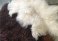 La fourrure mongole de longue laine d'agneau tibétaine blanche naturelle matérielle bouclée de peau de mouton se cache fournisseur