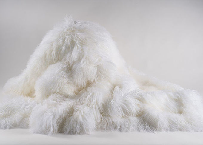 Long salon mongol gris de couverture de peau de mouton de cheveux bouclés avec la taille des pieds 2*4
