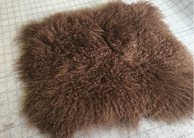 Le vrai double mongol de carreau de Brown de peau de mouton a dégrossi fourrure avec de longs cheveux