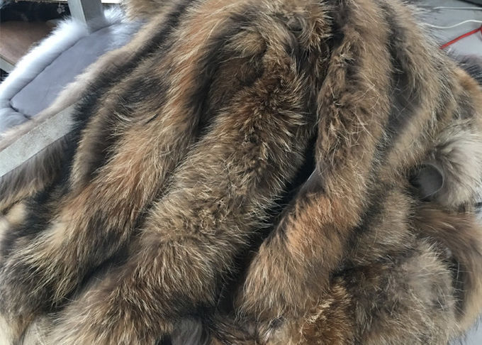 Le vrai équilibre de collier de fourrure de raton laveur de Brown anti-rétrécissement chauffent pour le manteau d'hiver de femmes
