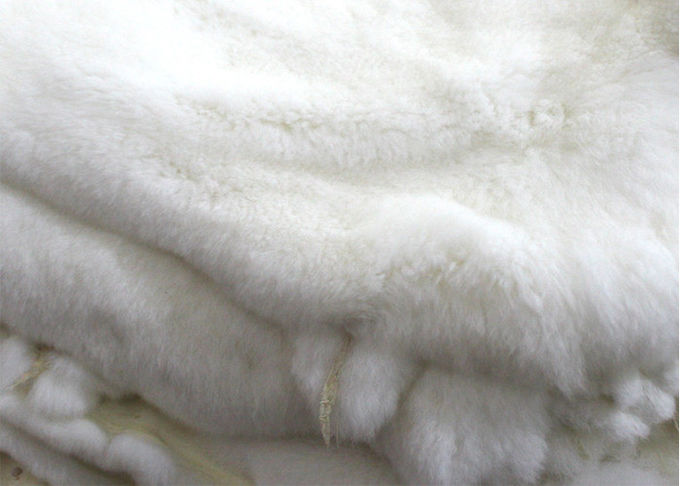 Vraie Rex peau bronzée de lapin de GV avec la conception d'hiver de longueur de cheveux de 2-2.8cm