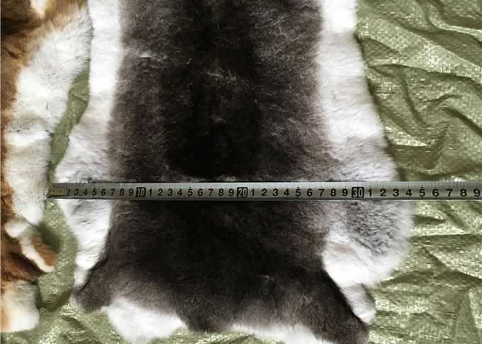 La fourrure pelucheuse blanche de peau de lapin de Rex de poils cache Comfortbale chaud pour des vêtements