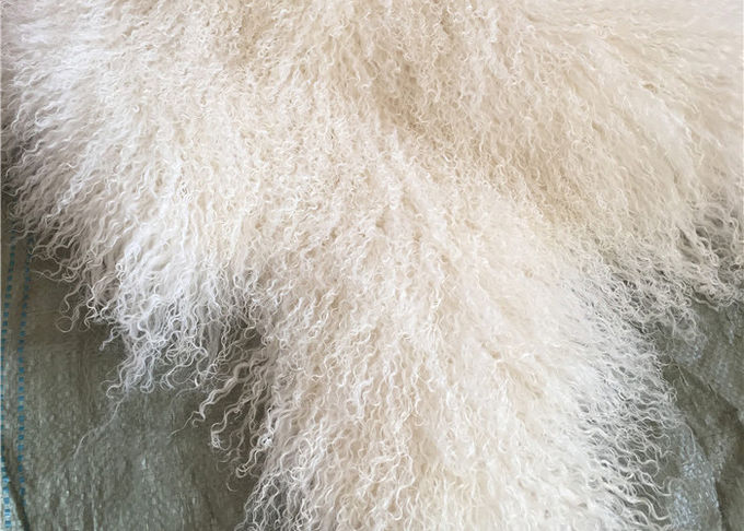 La fourrure mongole de longue laine d'agneau tibétaine blanche naturelle matérielle bouclée de peau de mouton se cache