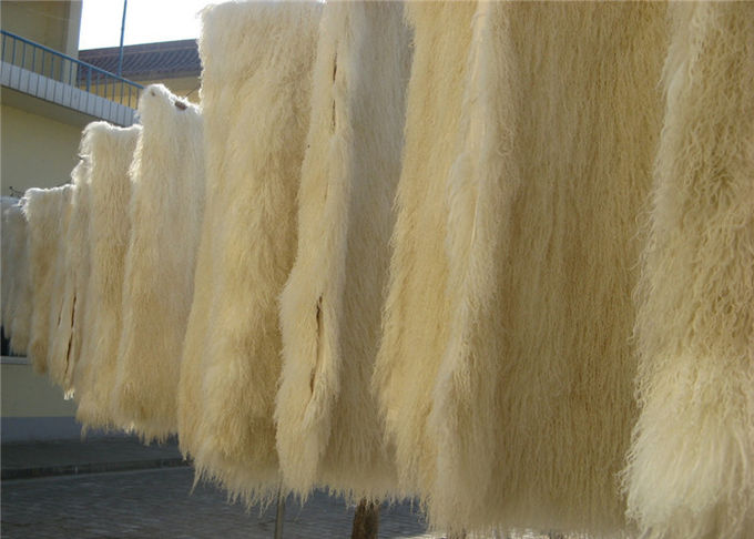 Carreau tibétain de fourrure de laine d'agneau de long de cheveux de moutons coussin mongol bouclé de fourrure