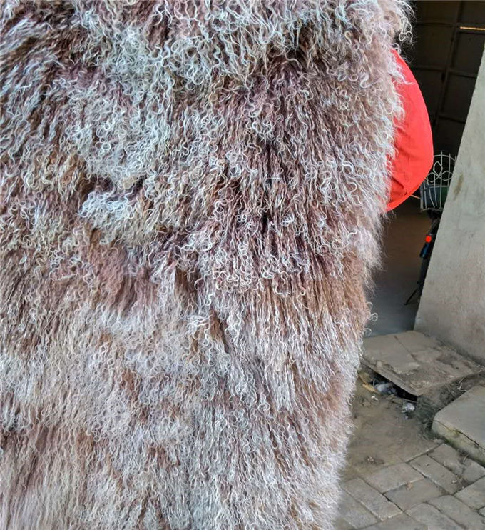 Couverture bouclée de fourrure de moutons de vraie longue de cheveux laine d'agneau mongole véritable de peau de mouton