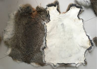 Peau bronzée écologique de lapin de Rex 1.5-3 longueur de fourrure de cm pour le textile/oreillers à la maison