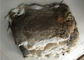 Peau bronzée écologique de lapin de Rex 1.5-3 longueur de fourrure de cm pour le textile/oreillers à la maison fournisseur