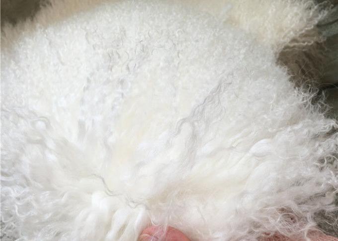 Couvertures d'intérieur du Thibet d'agneau de fourrure de jet de couverture de longue de cheveux fourrure véritable de moutons pour la maison