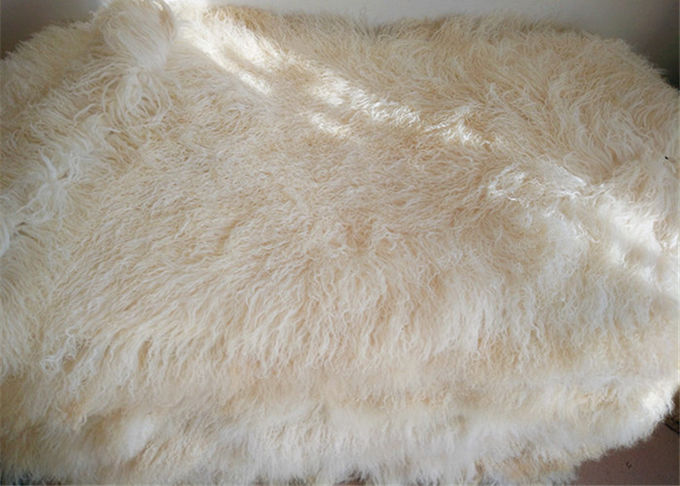 L'oreiller mongol rond de fourrure de longs cheveux gris-clair lissent avec la doublure de fourrure de moutons de Shearling