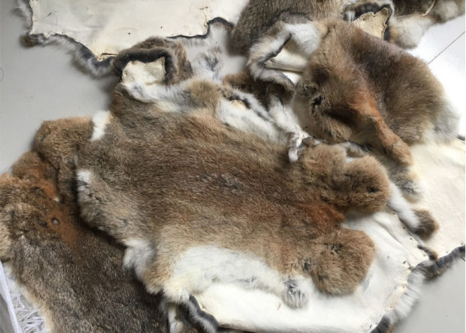 Poils pelucheux bronzés écologiques de vraie de Rex peau véritable de lapin pour le textile à la maison