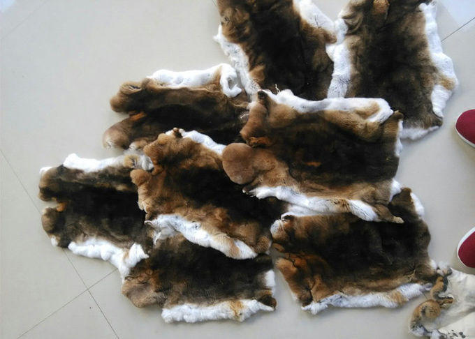 Peau pelucheuse molle naturelle de lapin de Rex 12 x 15 pouces pour faire des couvertures de chaise