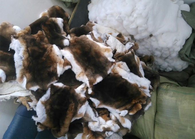 La vraie peau de lapin de Rex de textile à la maison protégeant du vent chauffent pour la doublure de manteau d'hiver