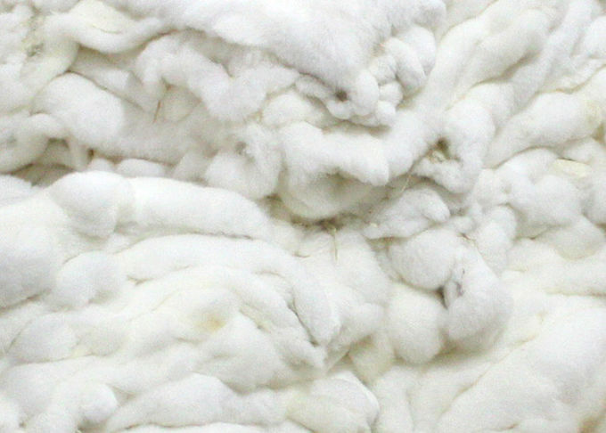 La vraie peau de lapin de Rex de textile à la maison protégeant du vent chauffent pour la doublure de manteau d'hiver