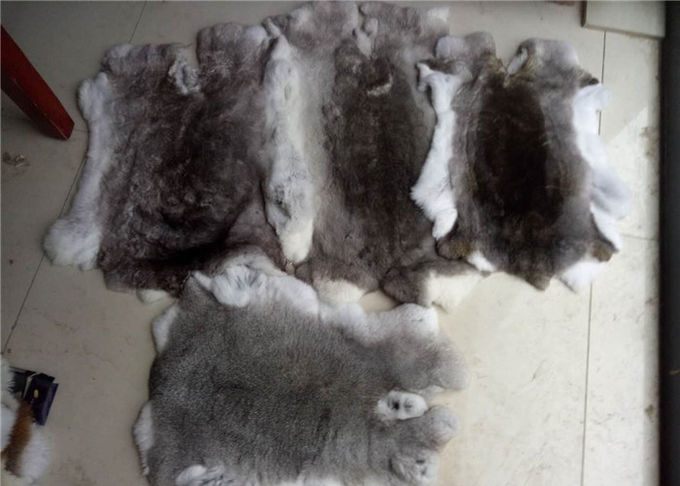 Manteau rayant la vraie densité lourde pelucheuse douce de Rex de peau entière de lapin pour l'hiver