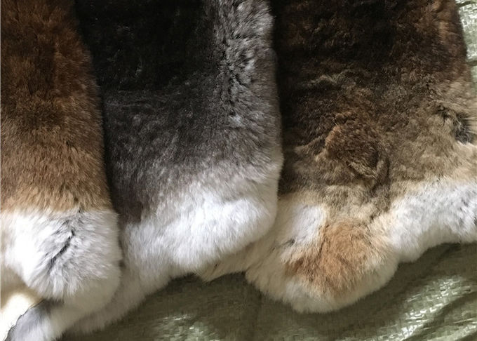 Peau bronzée écologique de lapin de Rex 1.5-3 longueur de fourrure de cm pour le textile/oreillers à la maison