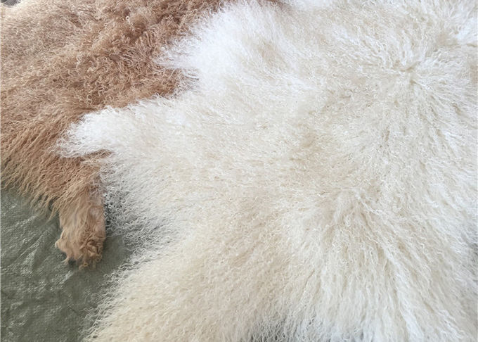 La peau de mouton mongole d'agneau de peau bouclée naturelle de fourrure cache la longue couverture de plancher d'agneau