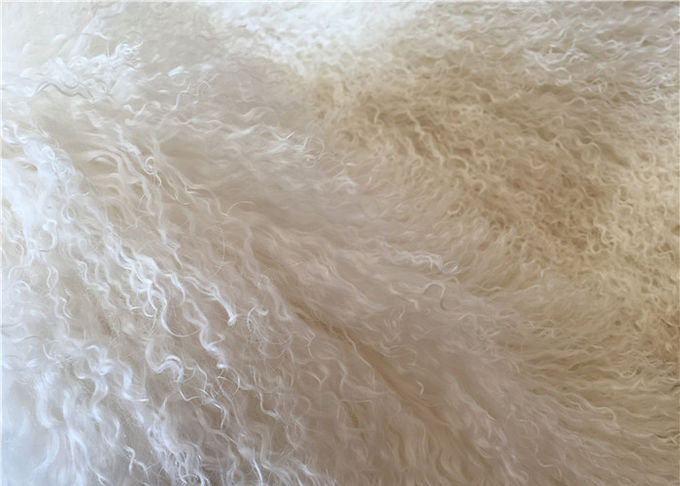 La peau de mouton mongole d'agneau de peau bouclée naturelle de fourrure cache la longue couverture de plancher d'agneau